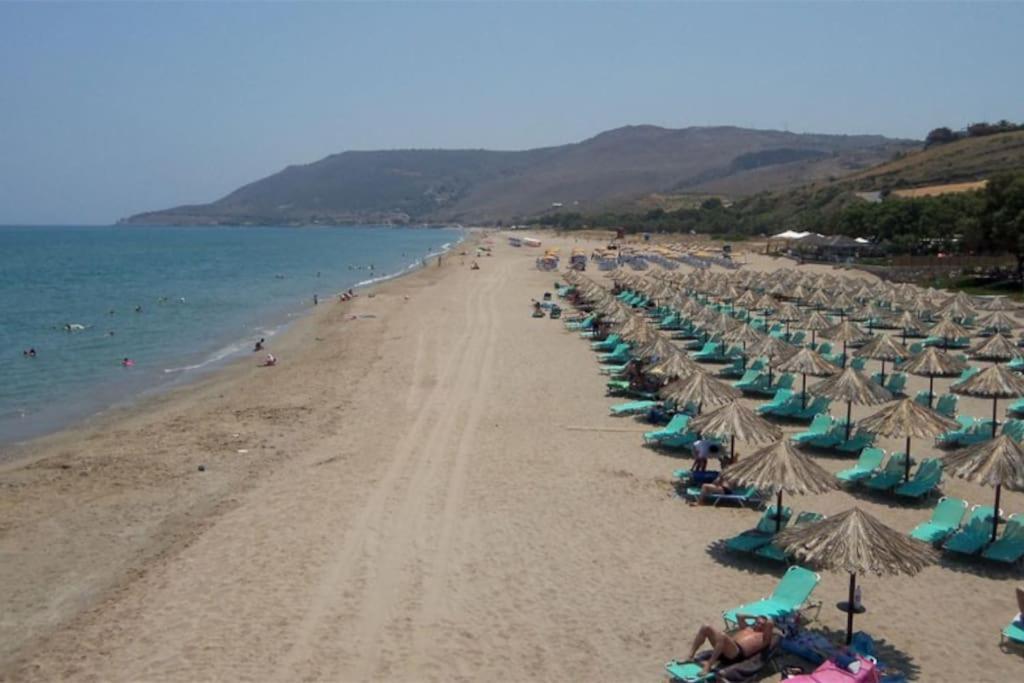 Olive Tree Farm 200M From The Beach Episkopi  Exterior photo