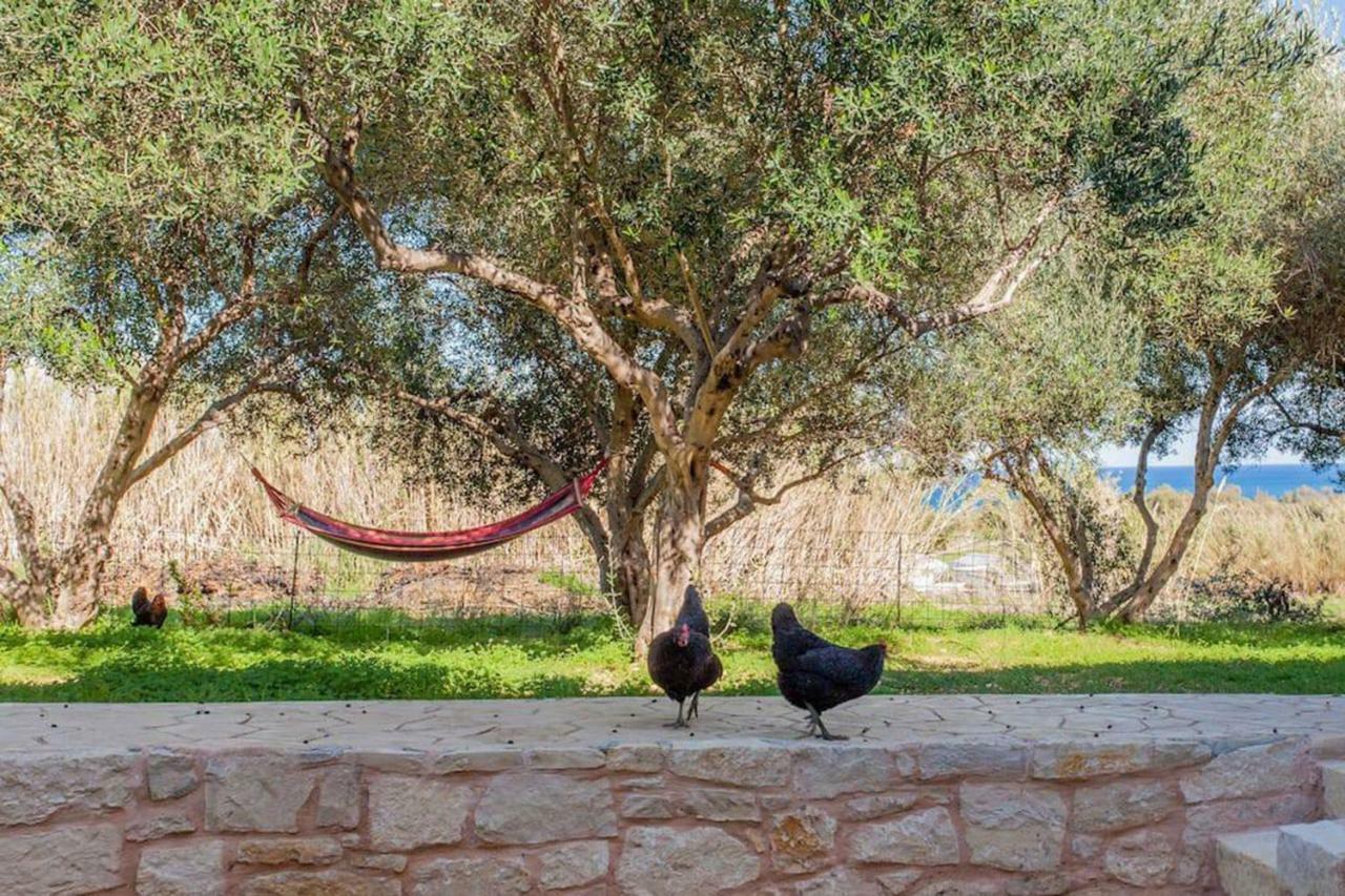 Olive Tree Farm 200M From The Beach Episkopi  Exterior photo