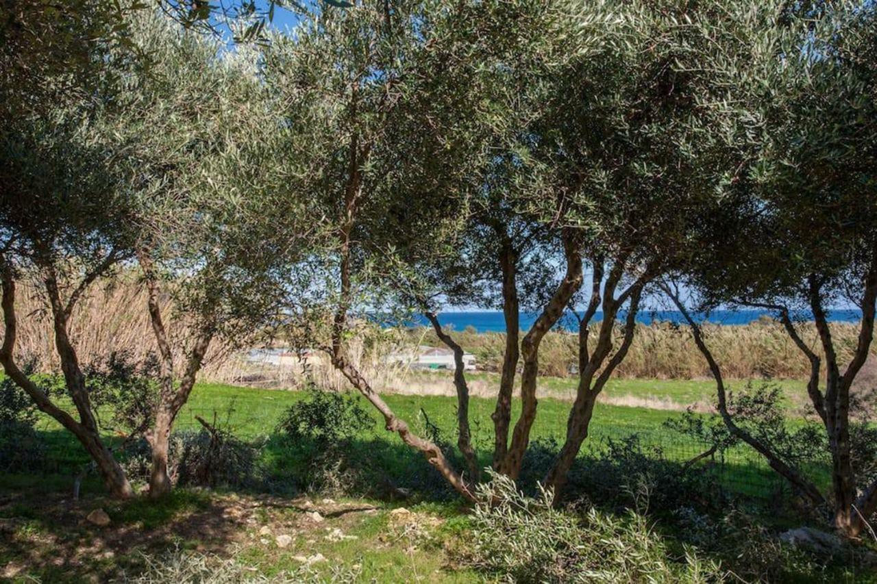 Olive Tree Farm 200M From The Beach Episkopi  Exterior photo