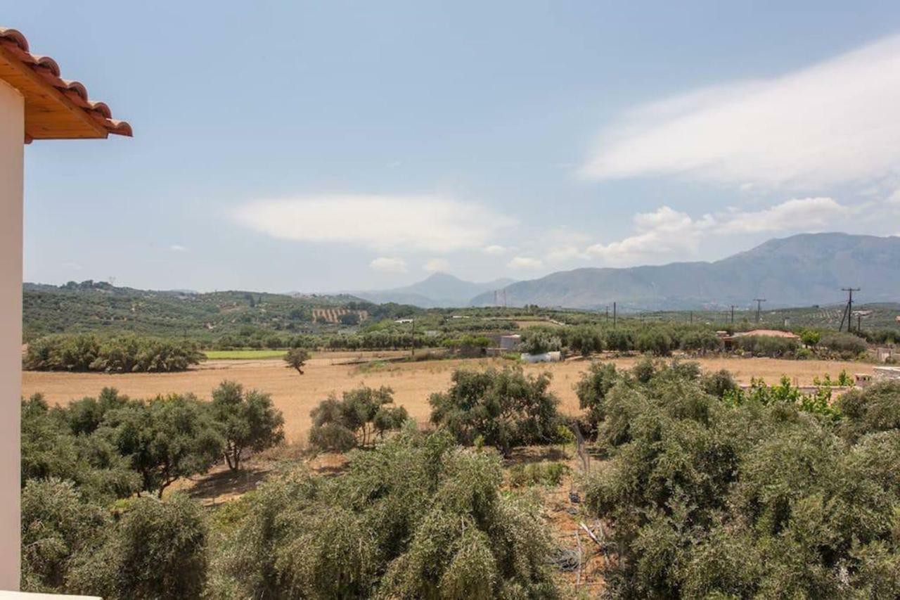Olive Tree Farm 200M From The Beach Episkopi  Exterior photo