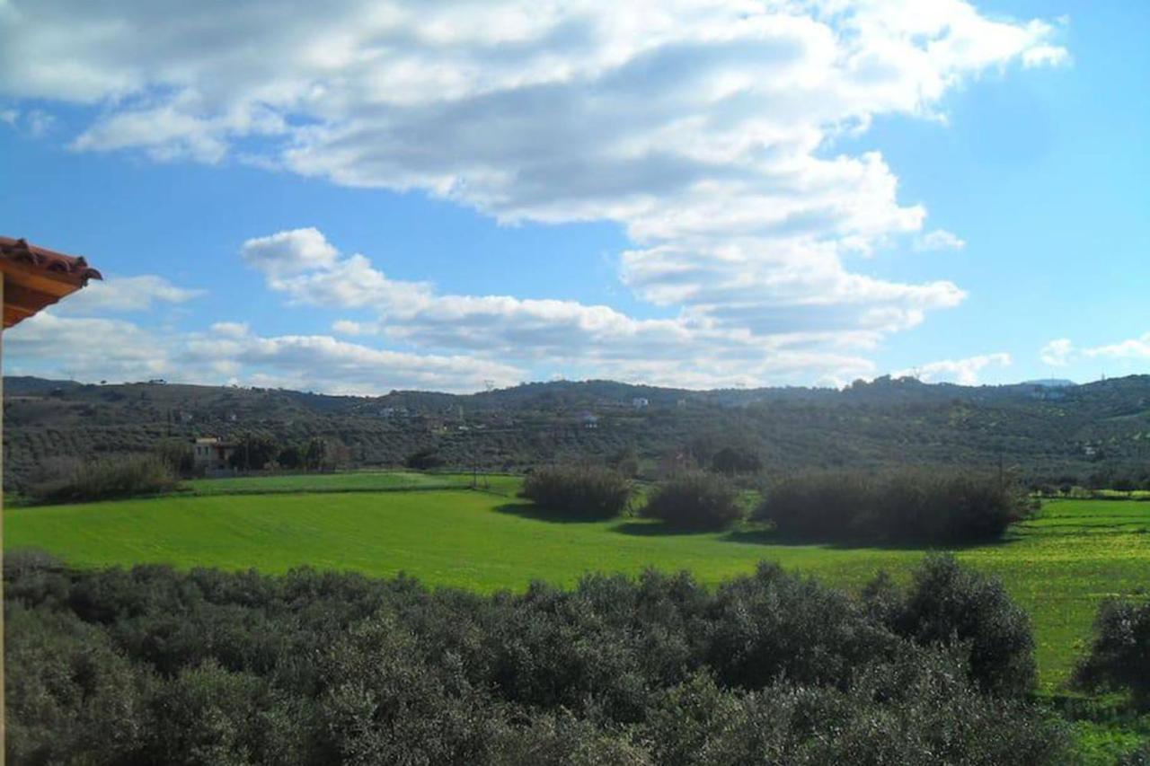 Olive Tree Farm 200M From The Beach Episkopi  Exterior photo
